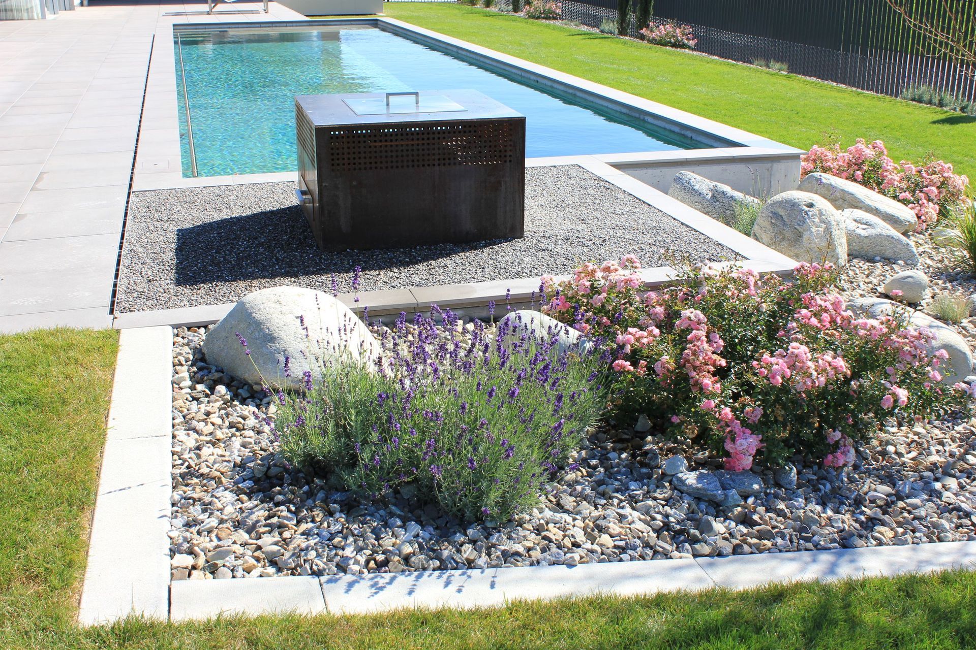 Tinimida, Feldbrunnen - Gerber Gartenbau AG - Lyss