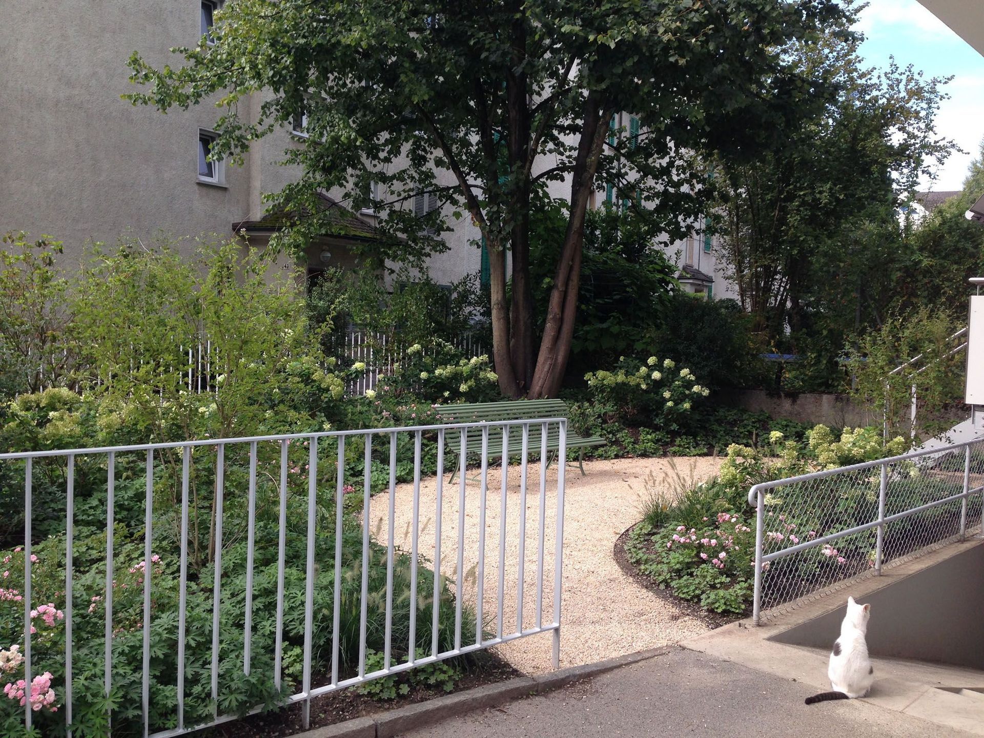 Referenz Renespa Schänzlistrasse - Gerber Gartenbau AG - Lyss