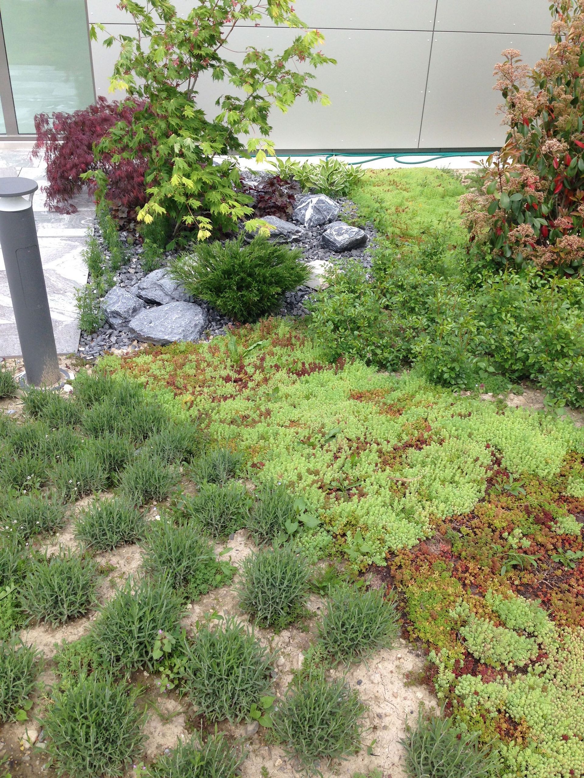 Referenz Schönbühl - Gerber Gartenbau AG - Lyss