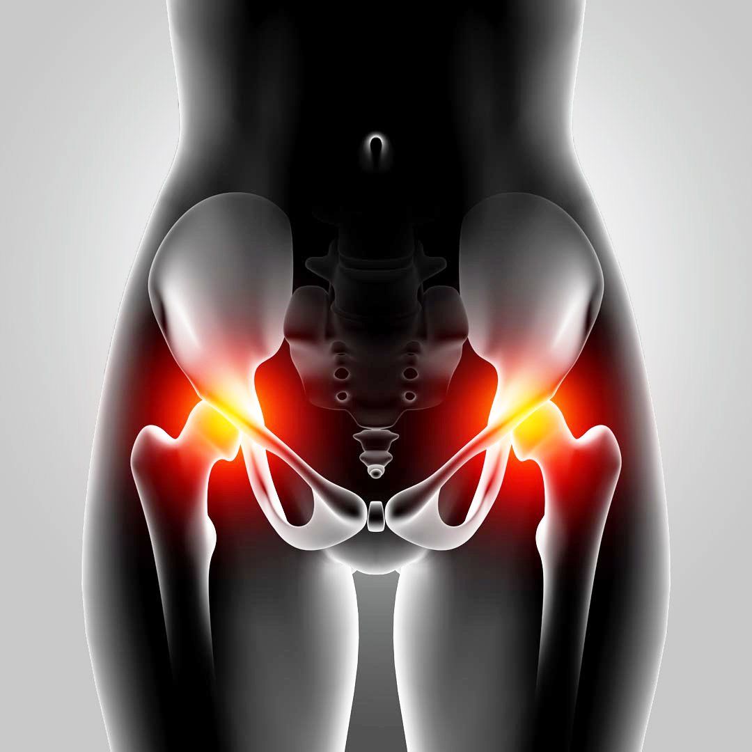 Visuel 3D de l'anatomie de la hanche