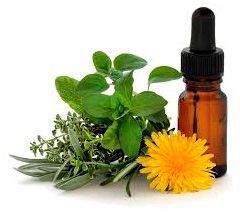 Botella marrón con gotero junto a hierbas y una flor amarilla; concepto de remedio herbal.