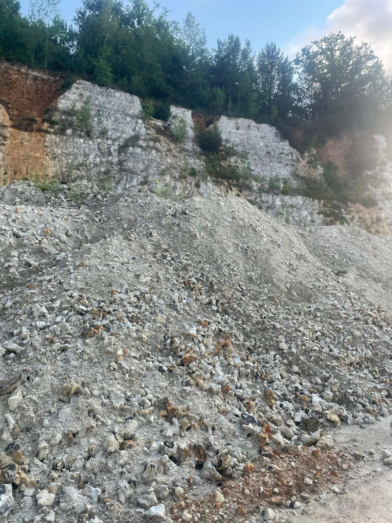 Un versant escarpé et rocailleux, recouvert de gravats gris et de pierres éparses, surmonté d'une rangée d'arbres verts se détachant sur un ciel bleu.