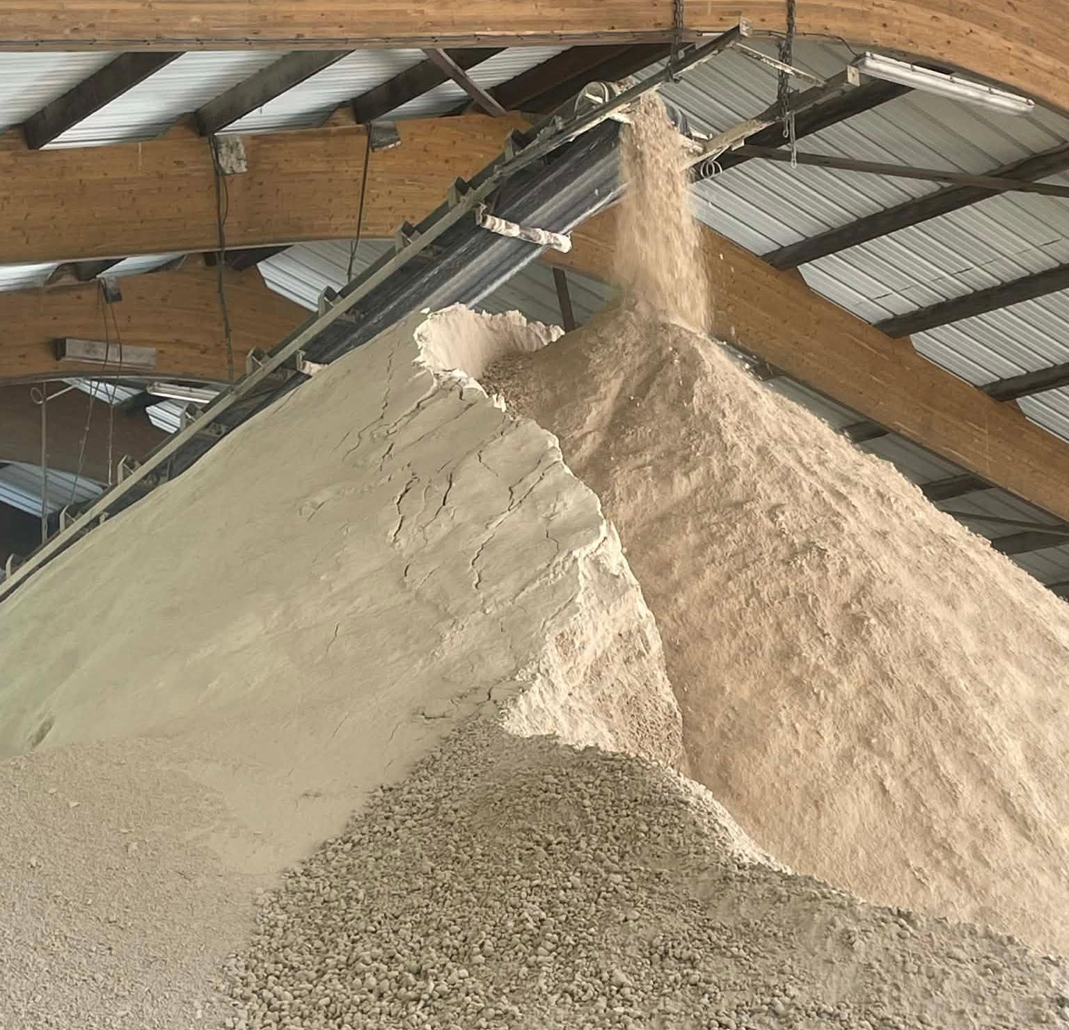 Un tapis roulant dépose une matière fine, de couleur brun clair, sur un grand tas à l'intérieur d'un hangar de stockage à structure de plafond en bois.