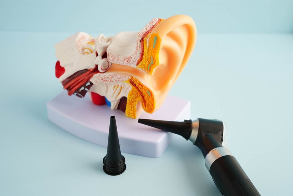 Interior de oficina con escritorio, sillas, ventana, planta y puerta de plástico transparente.