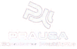 Logotipo PD gris claro sobre “PRAUSA” con texto de eslogan tenue sobre fondo blanco