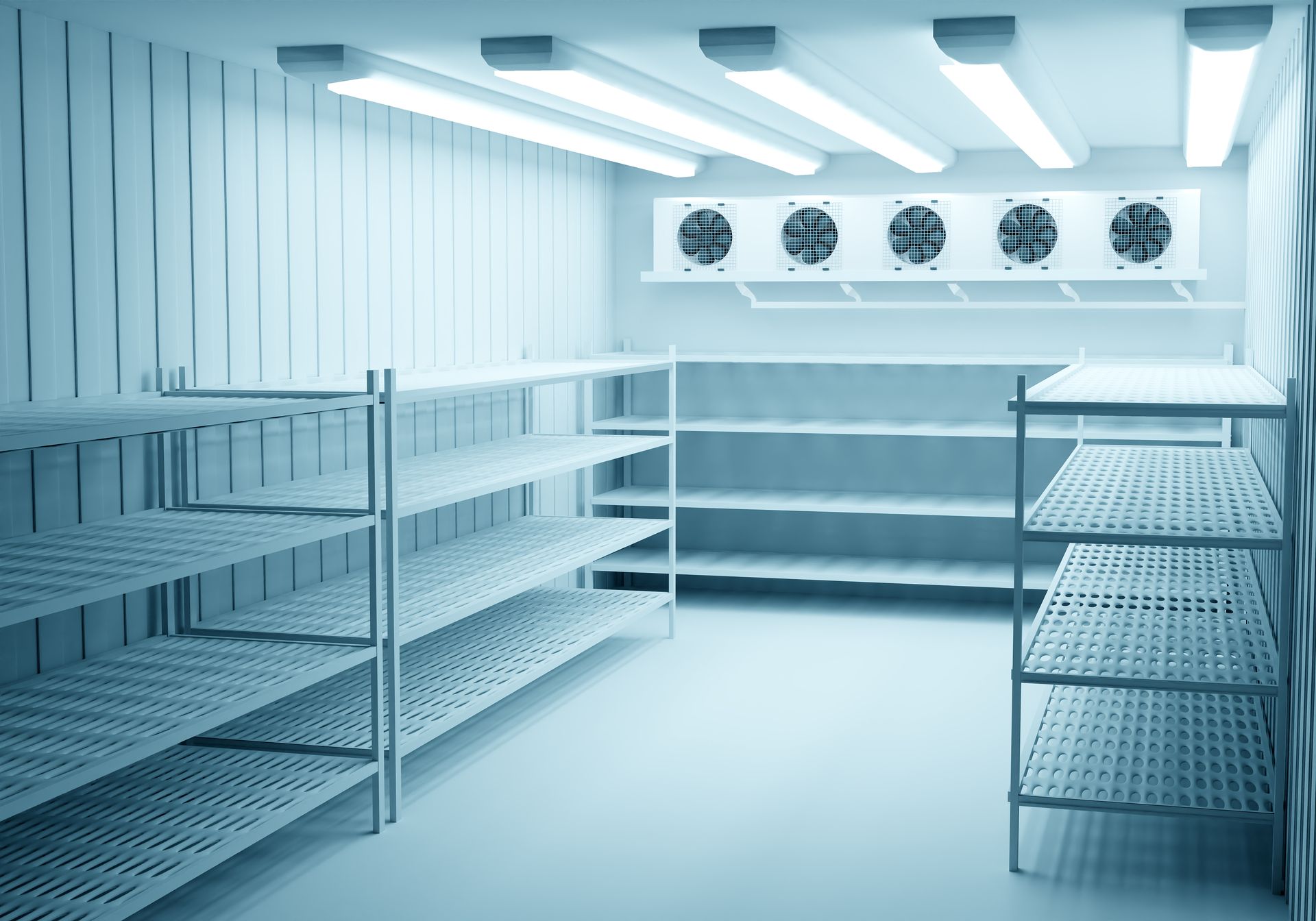Chambre froide vide avec étagères métalliques, grilles et ventilateurs de plafond sous un éclairage bleu vif