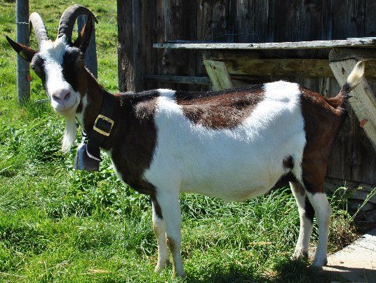 Jahreszeiten Boutique