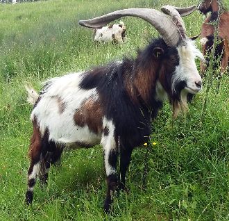 Jahreszeiten Boutique