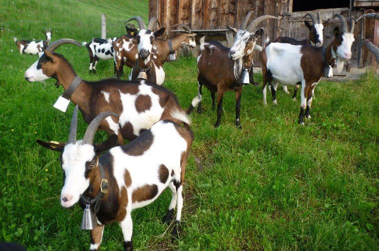 Jahreszeiten Boutique