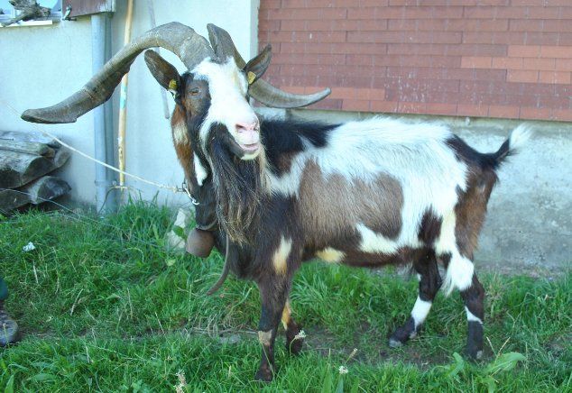 Jahreszeiten Boutique