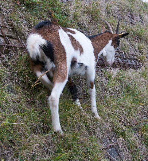 Jahreszeiten Boutique