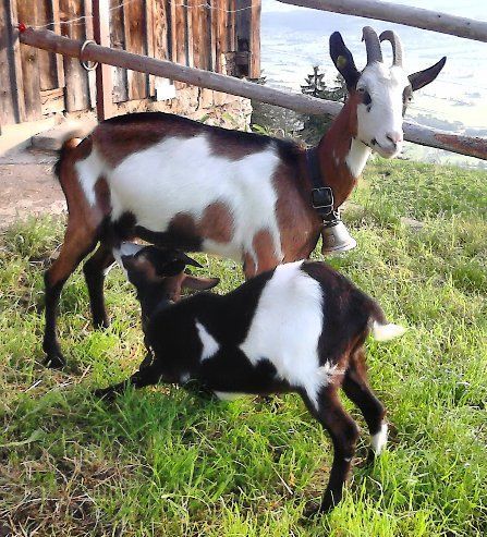 Jahreszeiten Boutique