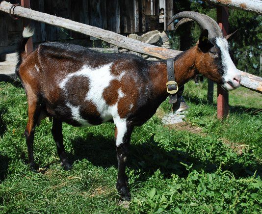 Jahreszeiten Boutique