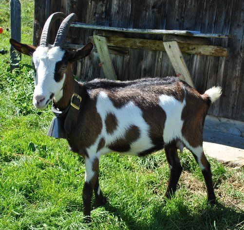 Jahreszeiten Boutique