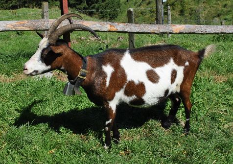 Jahreszeiten Boutique