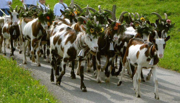 Jahreszeiten Boutique