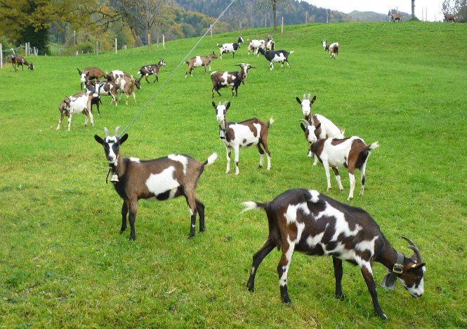 Jahreszeiten Boutique