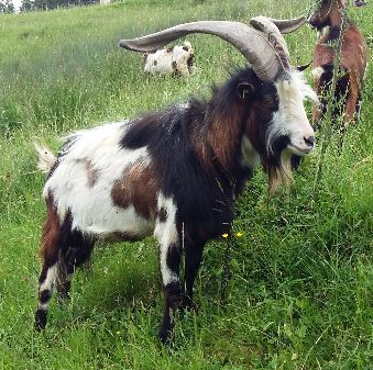 Jahreszeiten Boutique