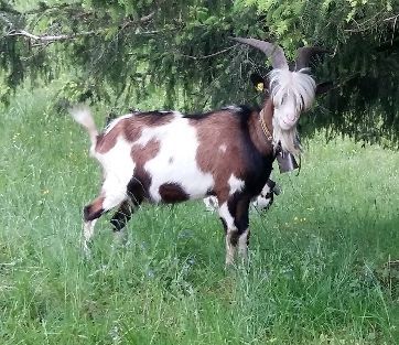 Jahreszeiten Boutique