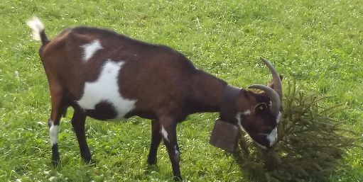 Jahreszeiten Boutique