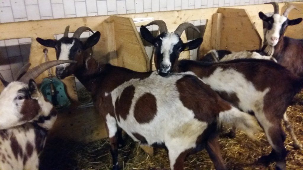 Jahreszeiten Boutique