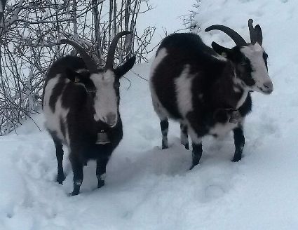 Jahreszeiten Boutique