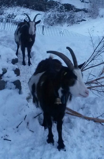 Jahreszeiten Boutique