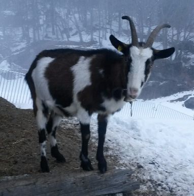 Jahreszeiten Boutique