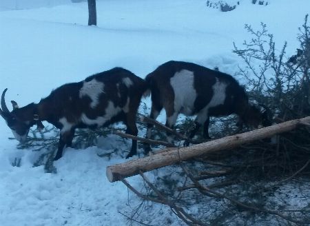 Jahreszeiten Boutique