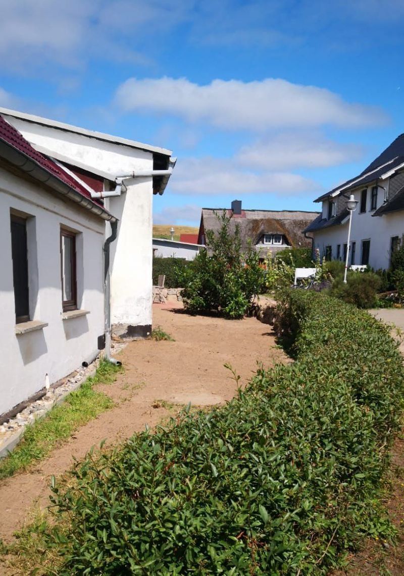 Ein Weg mit Büschen neben einem Haus