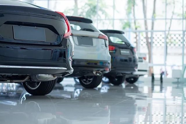 Una fila de coches están aparcados en una sala de exposición.
