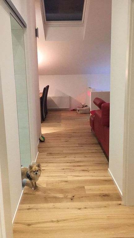 P. Stulz Sanitäre Anlagen & Baugruppe Rontal A – Z GmbH