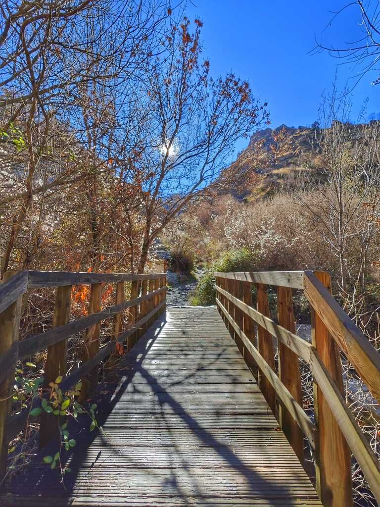 Puente de madera en un bosque, la luz del sol se filtra entre los árboles, una montaña al fondo, cielo azul despejado.