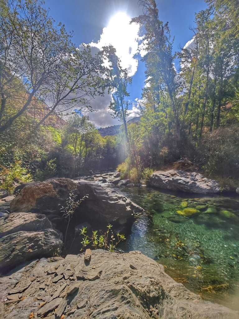 Un arroyo bañado por el sol fluye a través de un paisaje rocoso. Árboles verdes bordean sus orillas.