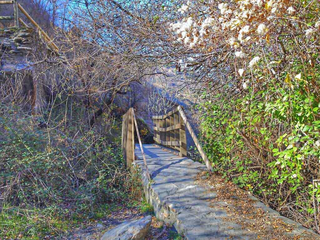 Puente de madera sobre un sendero sombreado en una zona boscosa, con luz solar moteada.
