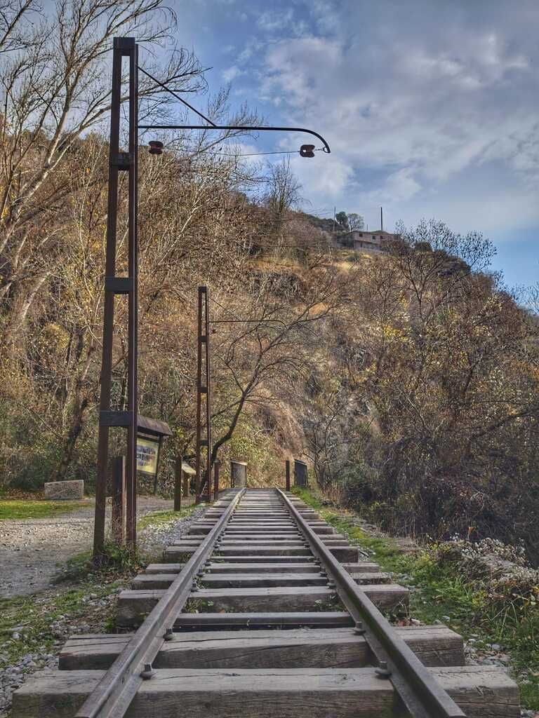 Vías férreas que atraviesan una zona boscosa, líneas eléctricas aéreas. Cielo nublado.