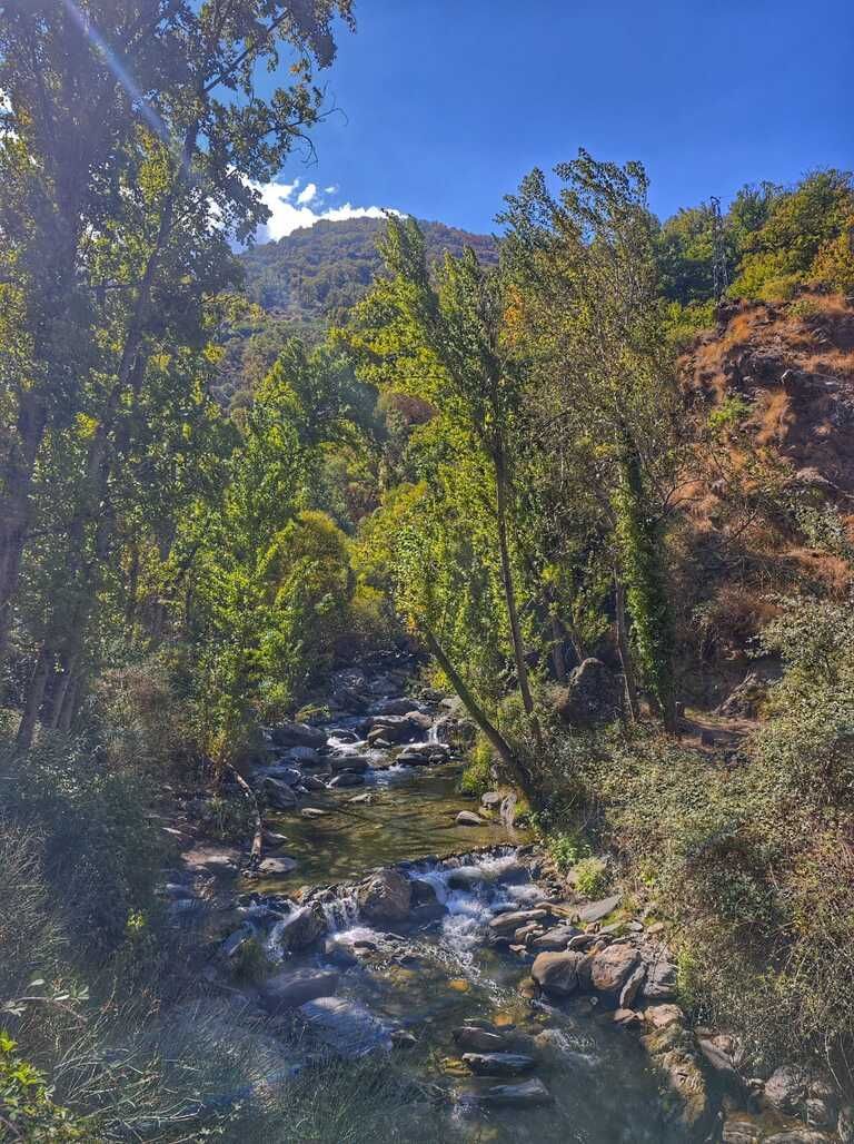 Un cristalino arroyo de montaña fluye a través de un valle boscoso bajo un cielo azul brillante.