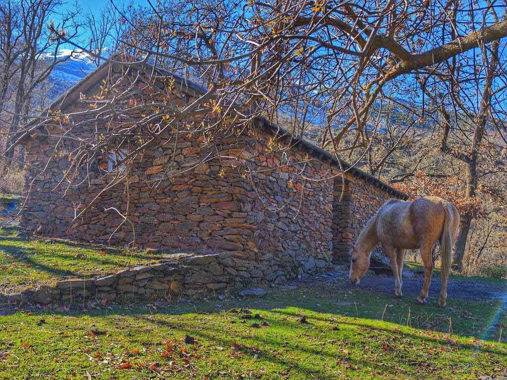 Caballos pastando cerca de un rústico edificio de piedra en una pradera soleada.