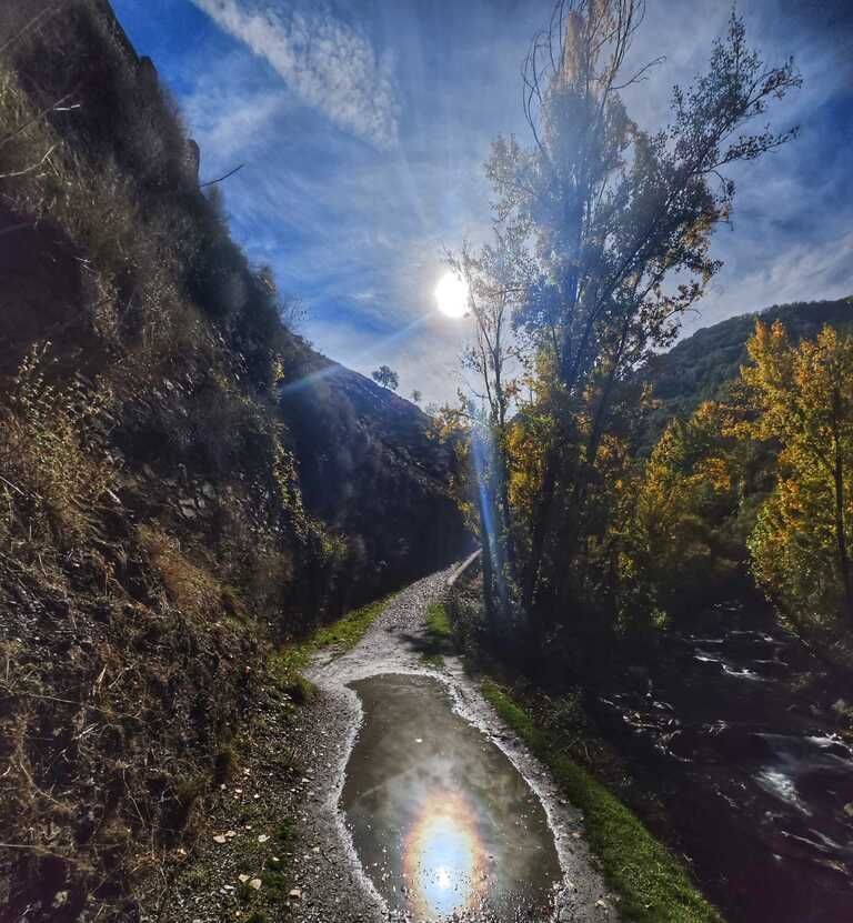 Sendero iluminado por el sol que atraviesa un cañón. Un charco refleja el cielo. Árboles con colores otoñales bordean el camino.