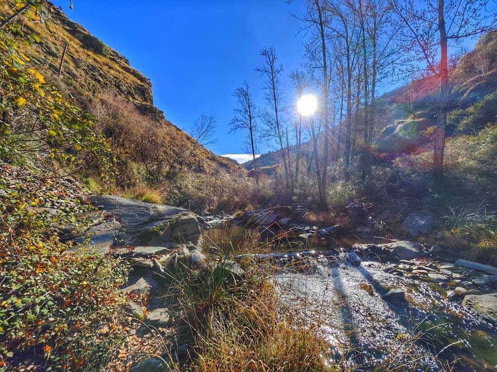 El sol brilla sobre un valle con un arroyo, árboles y follaje dorado-marrón.
