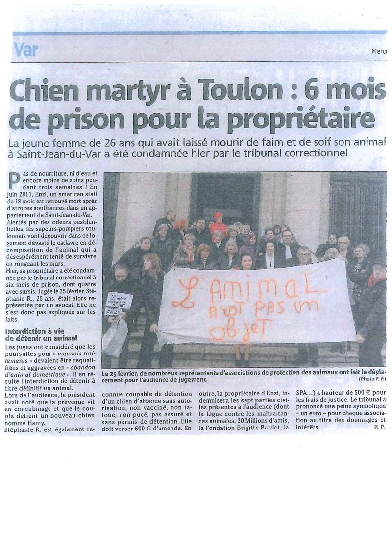 Article de presse 15.