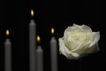 Eine weiße Rose liegt vor vier brennenden Kerzen.