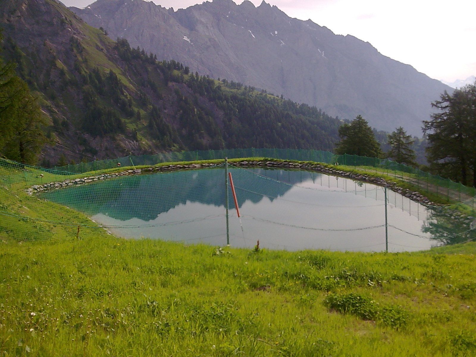 Un petit étang au milieu d'un champ herbeux avec des montagnes en arrière-plan