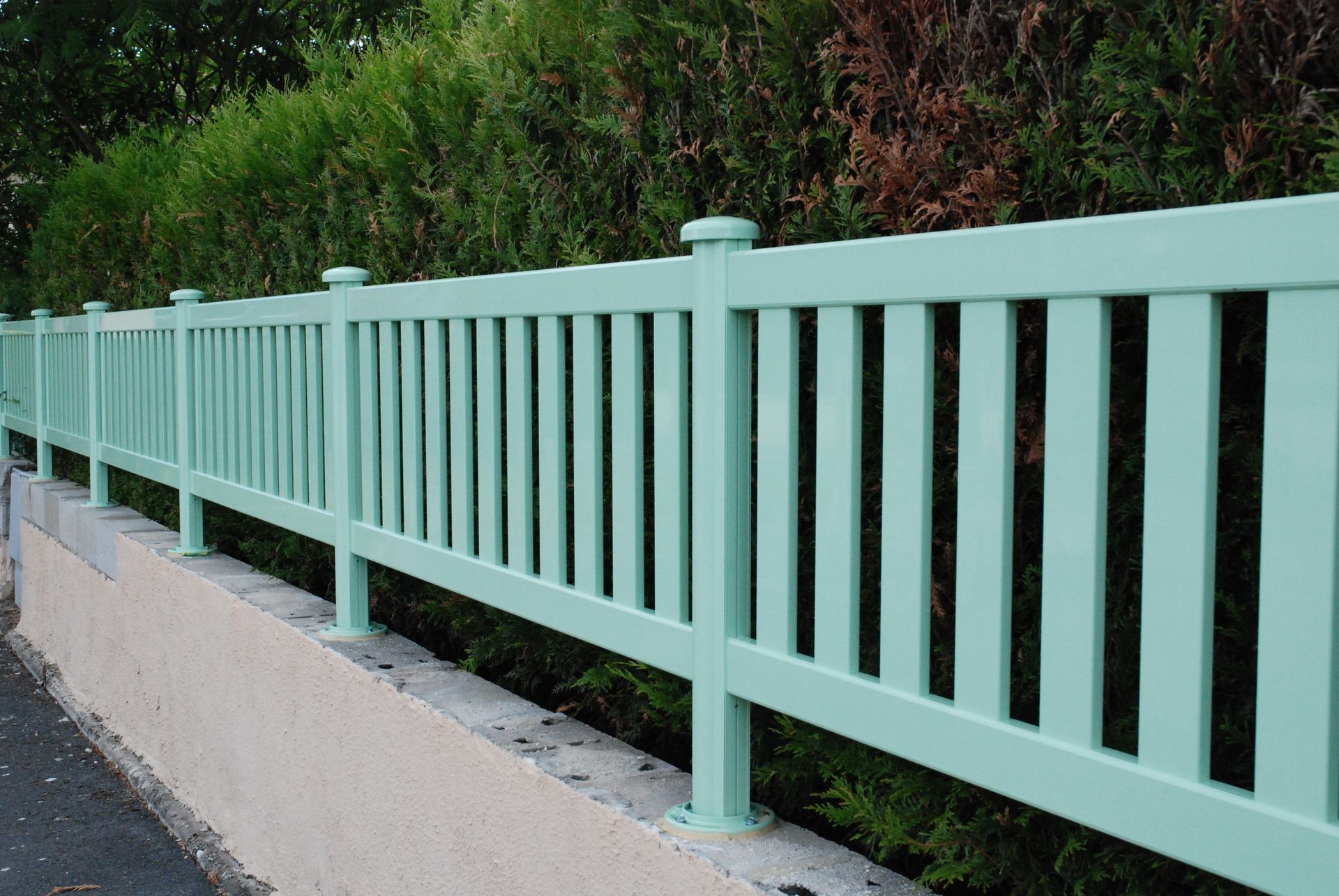 clôture en de couleur/vert