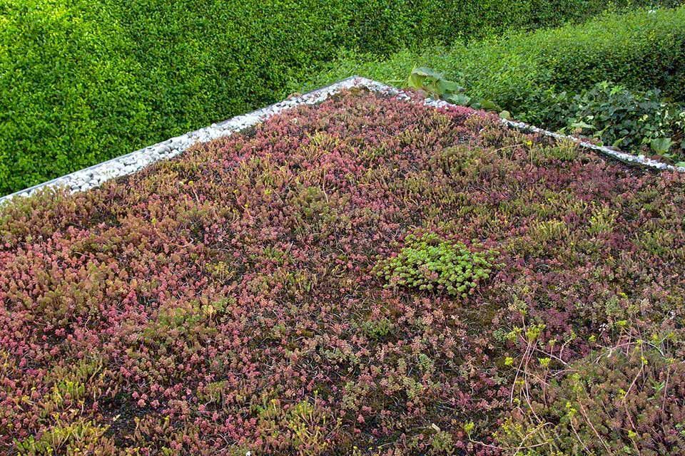 Dachdeckerarbeit von Anton Plenkers Dachdecker- & Klempnermeister, Solarteur