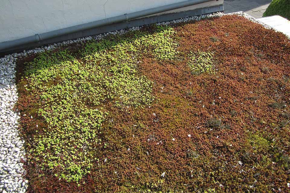 Dachdeckerarbeit von Anton Plenkers Dachdecker- & Klempnermeister, Solarteur