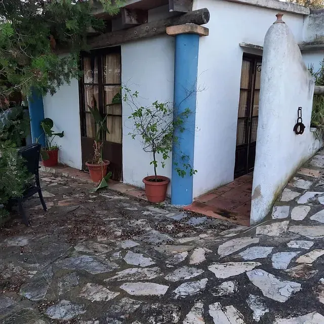 Un edificio blanco con un pilar azul y plantas en macetas.