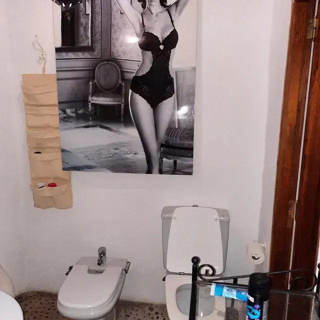 Un baño con una imagen de una mujer en la pared encima del inodoro.