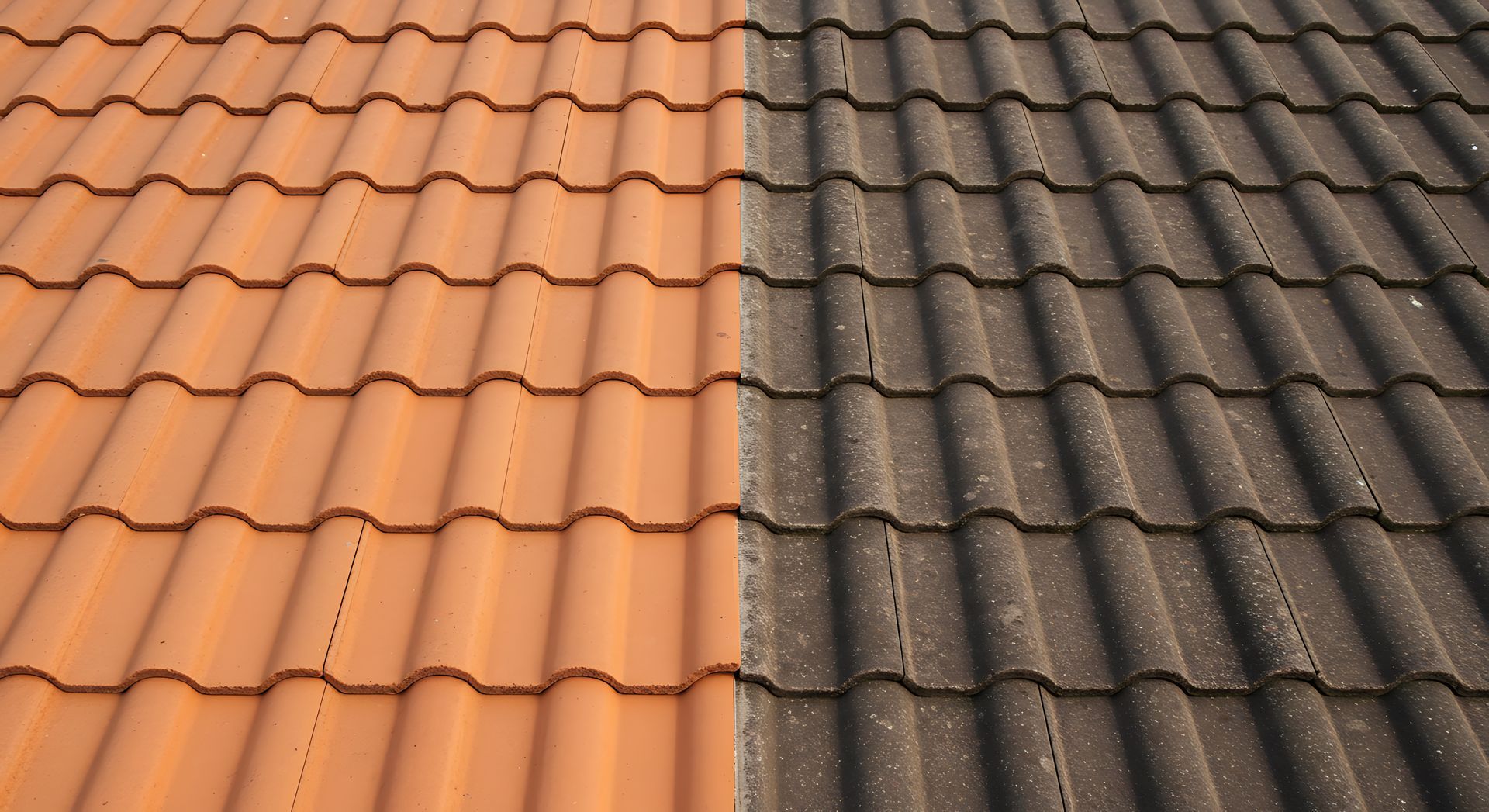 Un côté de toiture propre et l'autre côté encrassé.