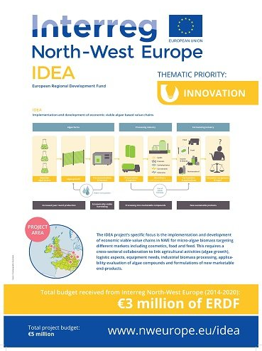 NWE Interreg IDEA doer doet research naar het potentieel van algen in Noord-West Europa